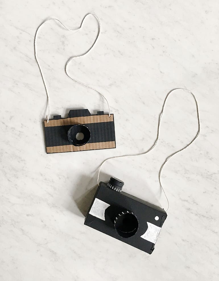 cardboard cameras