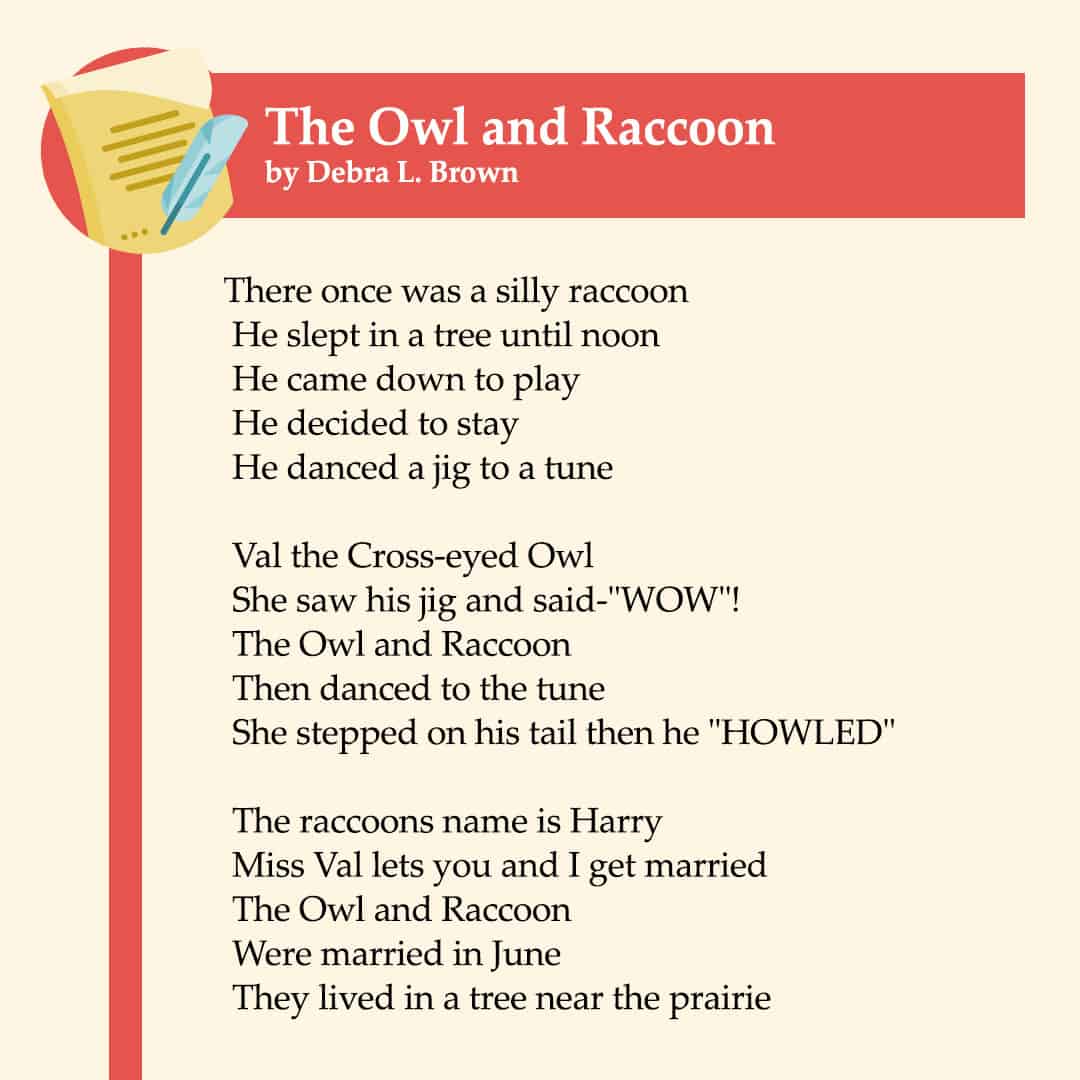 the owl and the raccoon poem