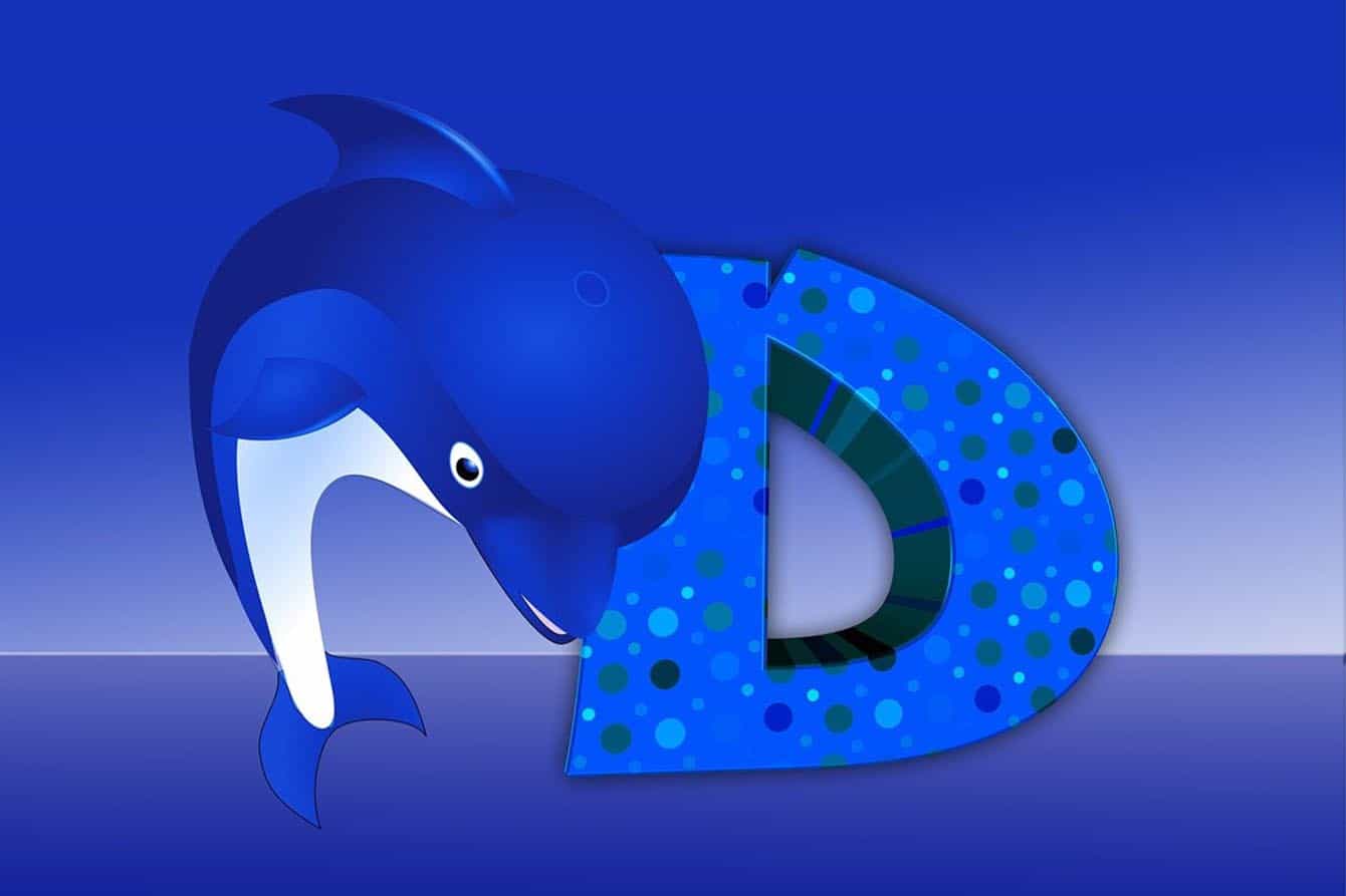 letter d activities