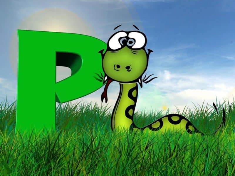 letter p activities for preschool