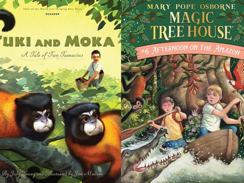 rainforest books for kids