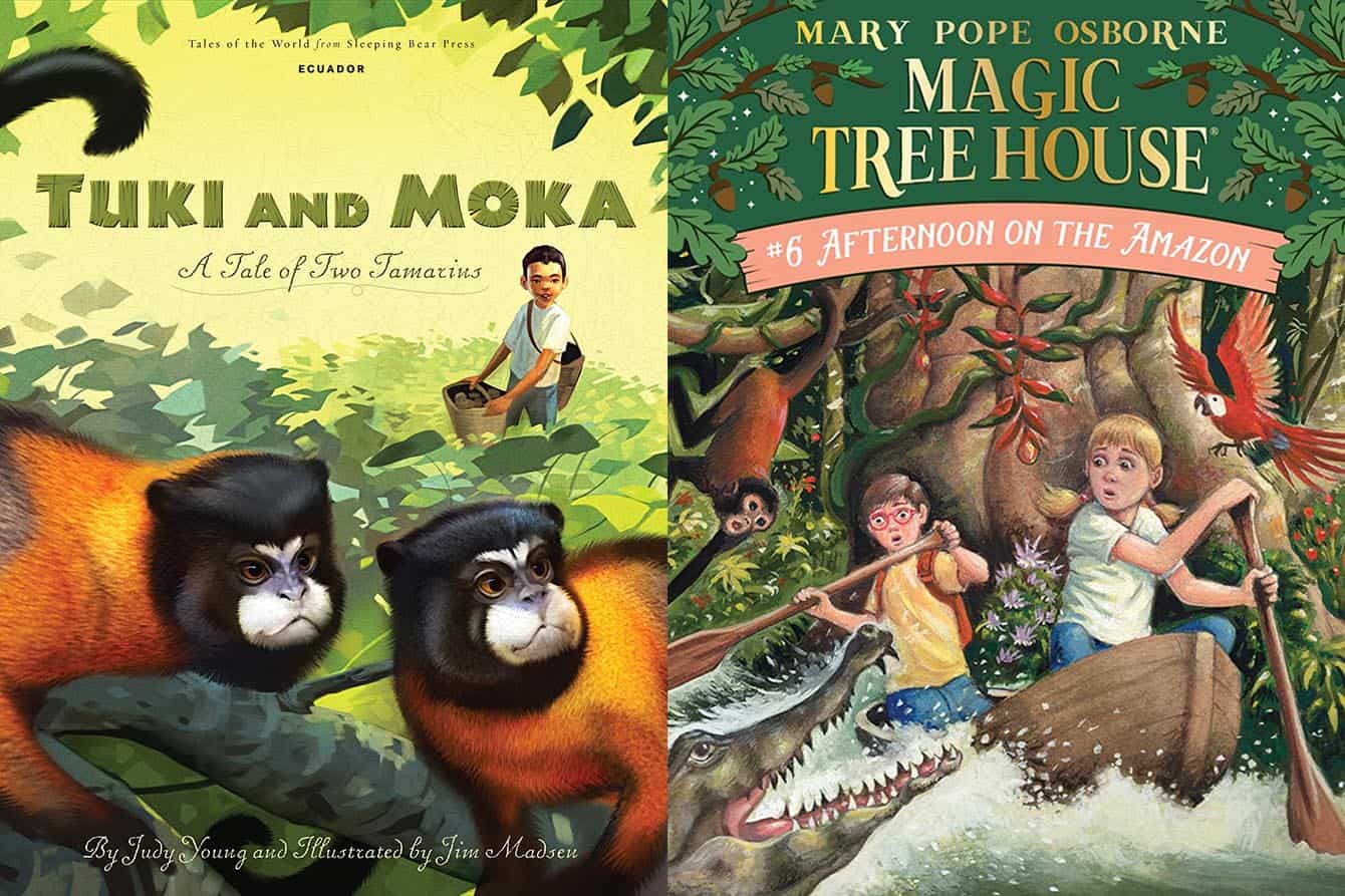48 Fantastic Rainforest Books for Kids - Teaching Expertise