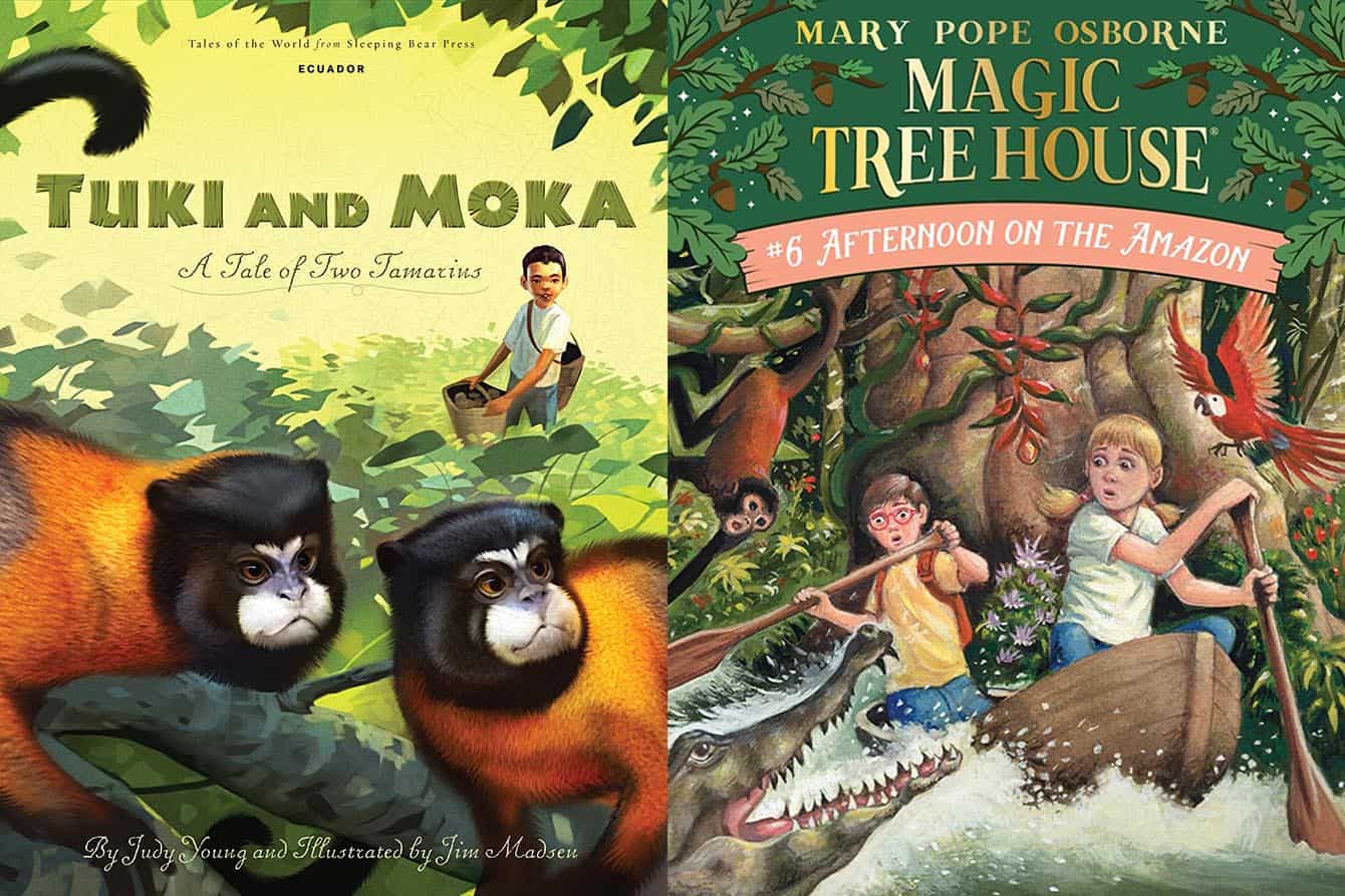 rainforest books for kids