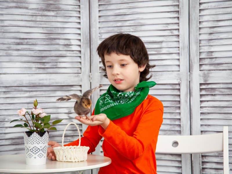 birding-for-kids-800x600.jpg birding-for-kids-800x600.jpg