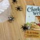 charlotte's web activities