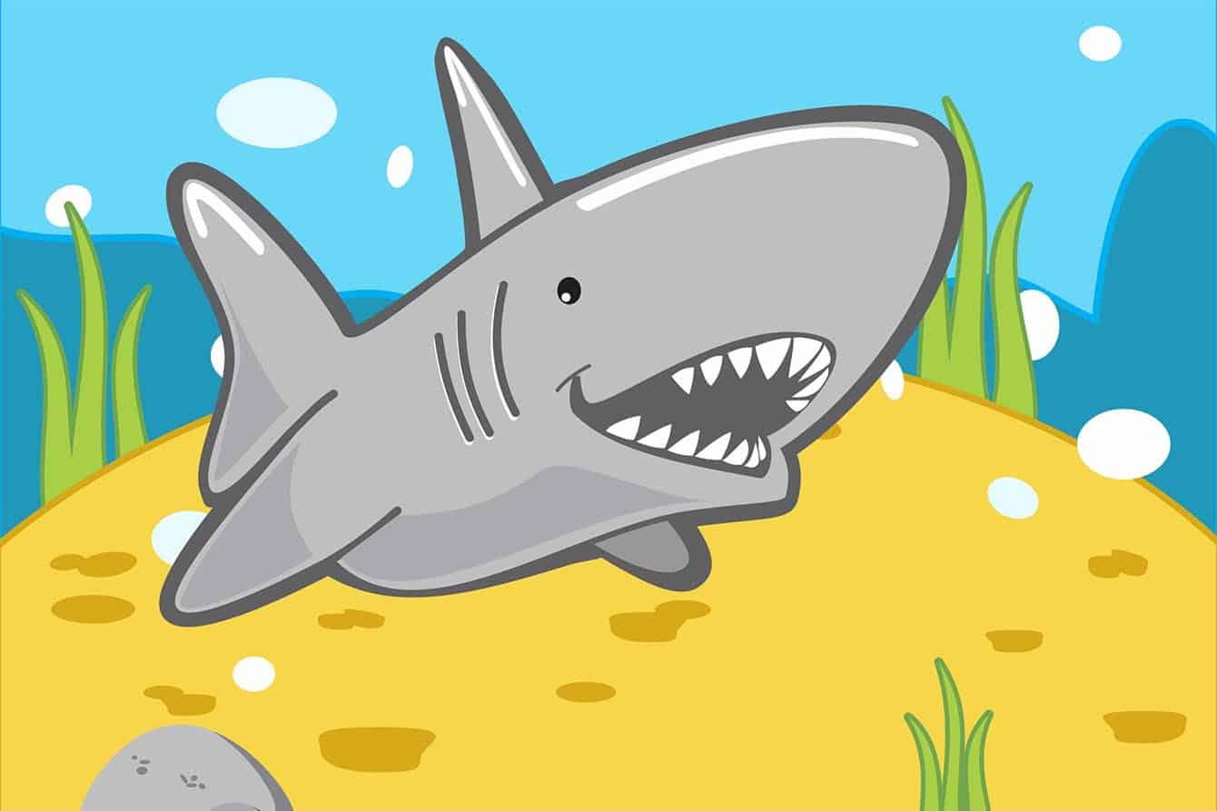 Save on Shark, Games & Activities