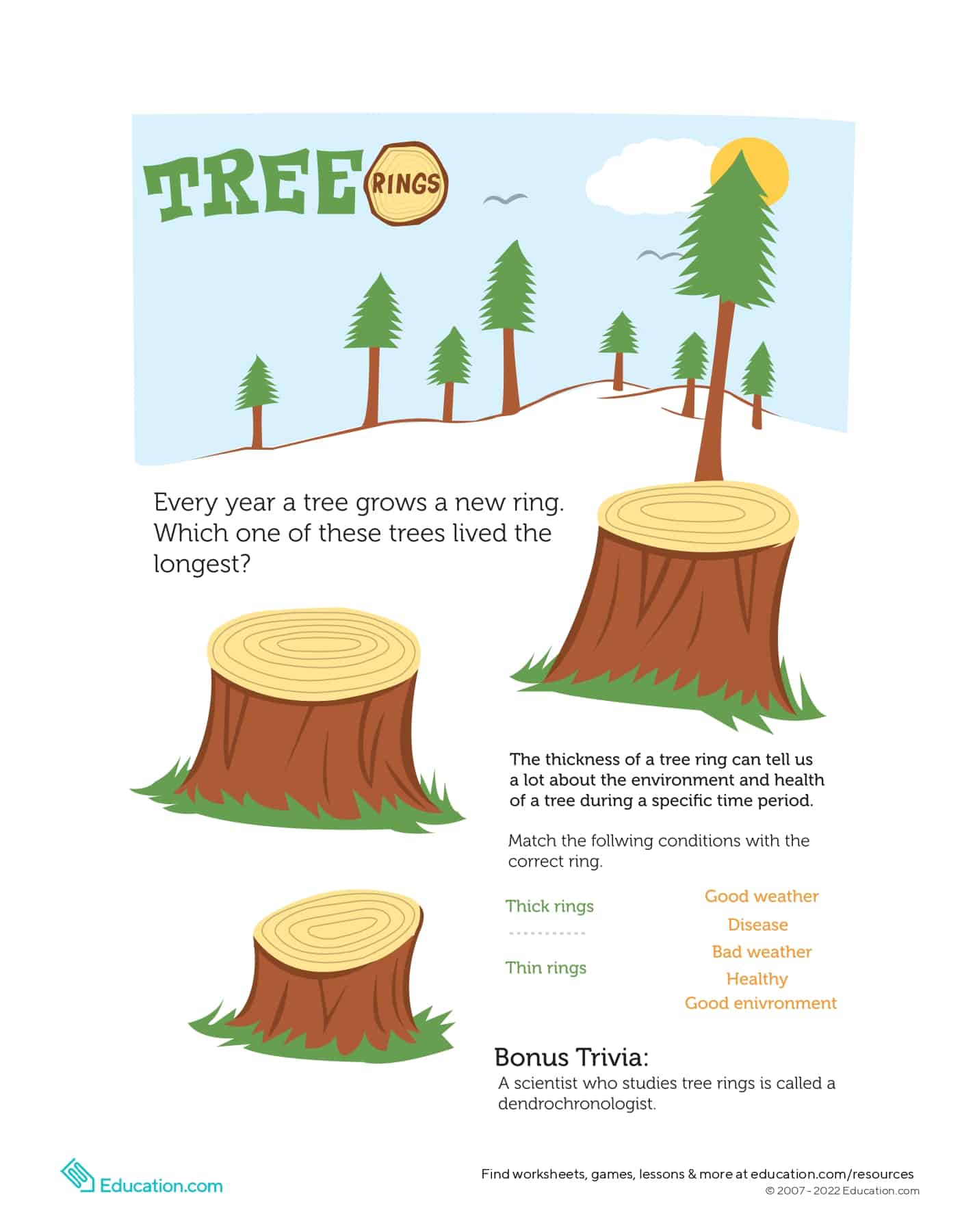 tree-rings_page-0001