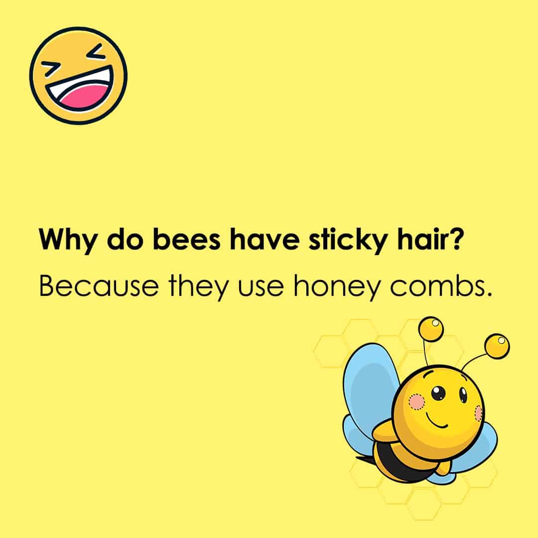 2nd grade jokes 29 second grade jokes
