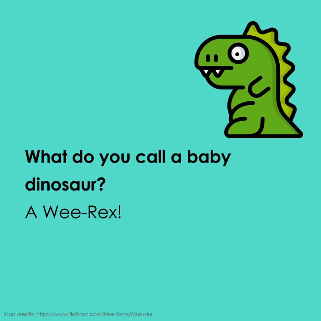 animal jokes 17 animal jokes