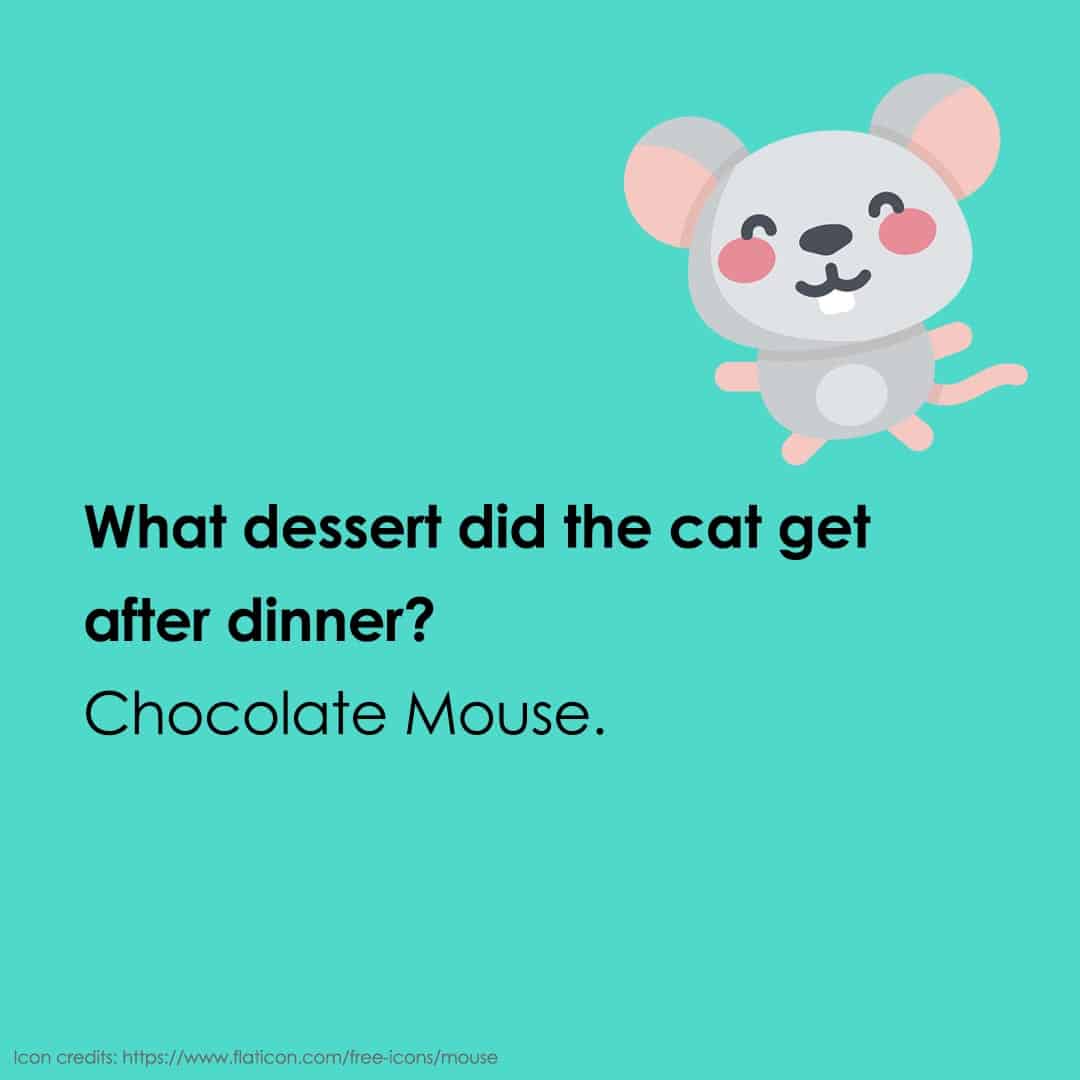 animal jokes 19 animal jokes