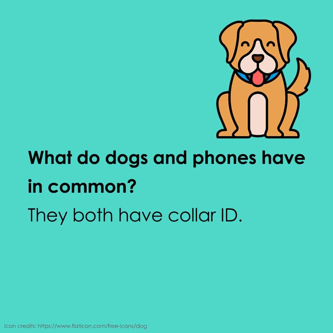 30 Zany Animal Jokes for Kids - Teaching Expertise 30 Zany Animal Jokes for Kids - Teaching Expertise