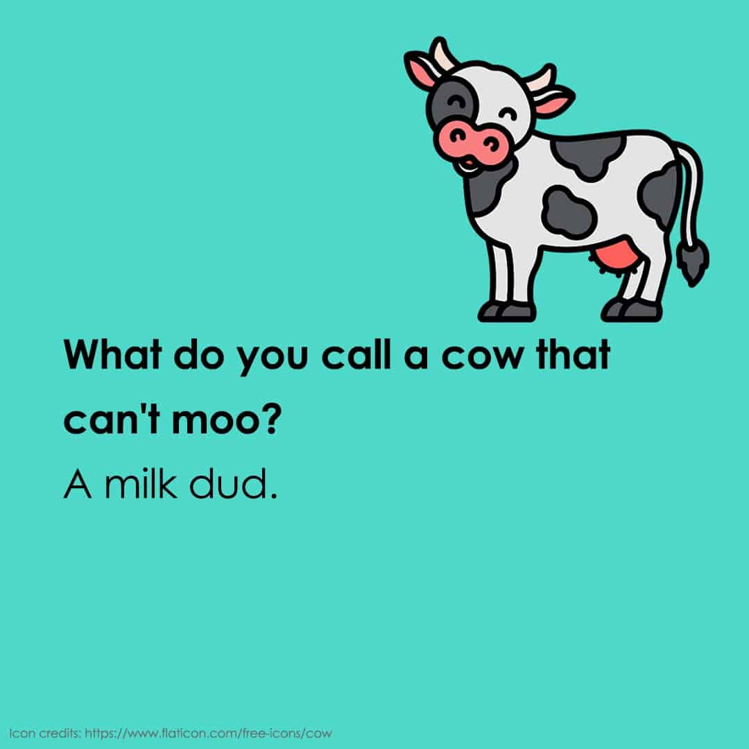 animal jokes 9 animal jokes