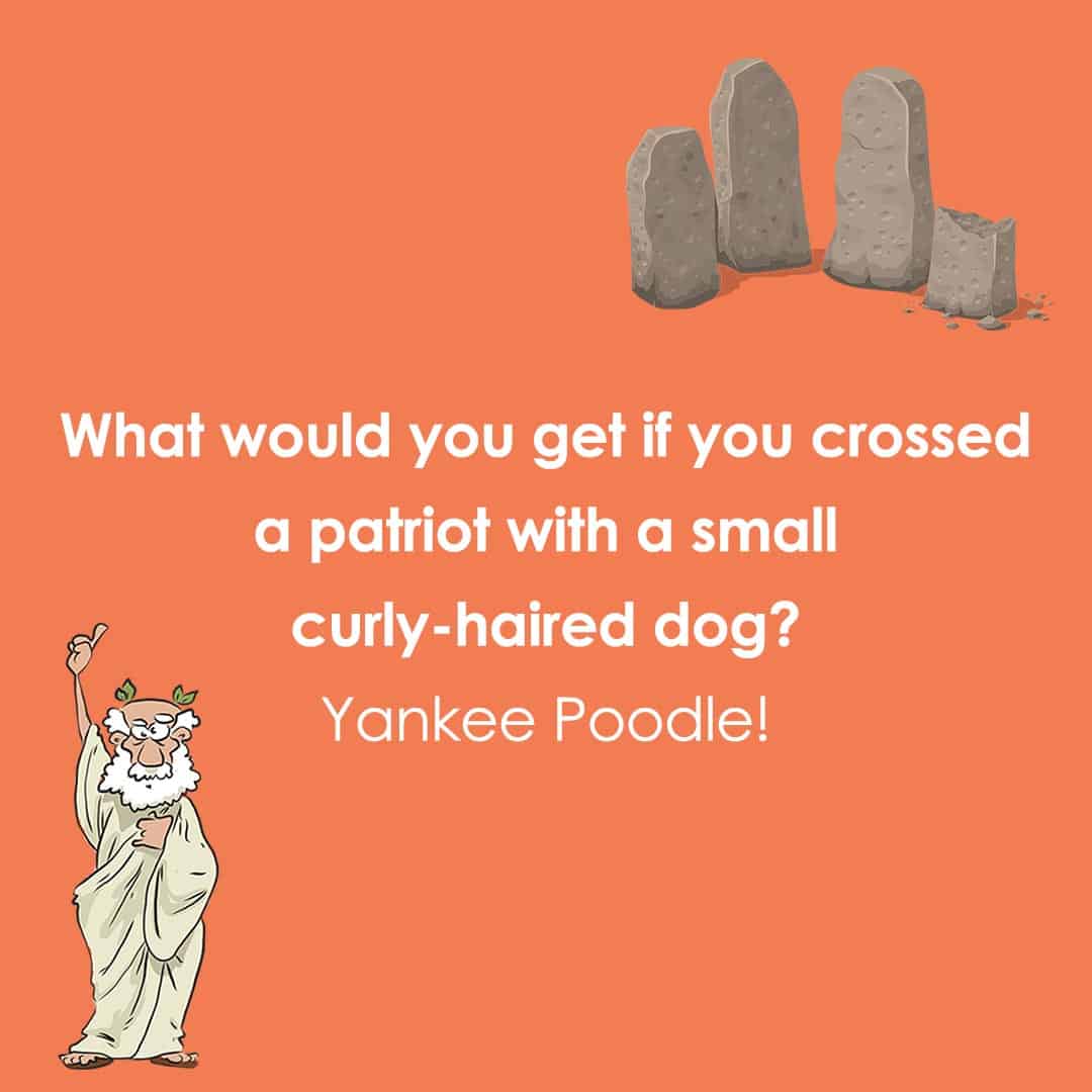 history jokes 7 history jokes