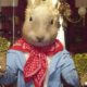 peter rabbit activities