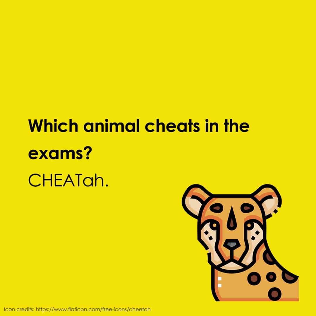 school jokes 31 school jokes