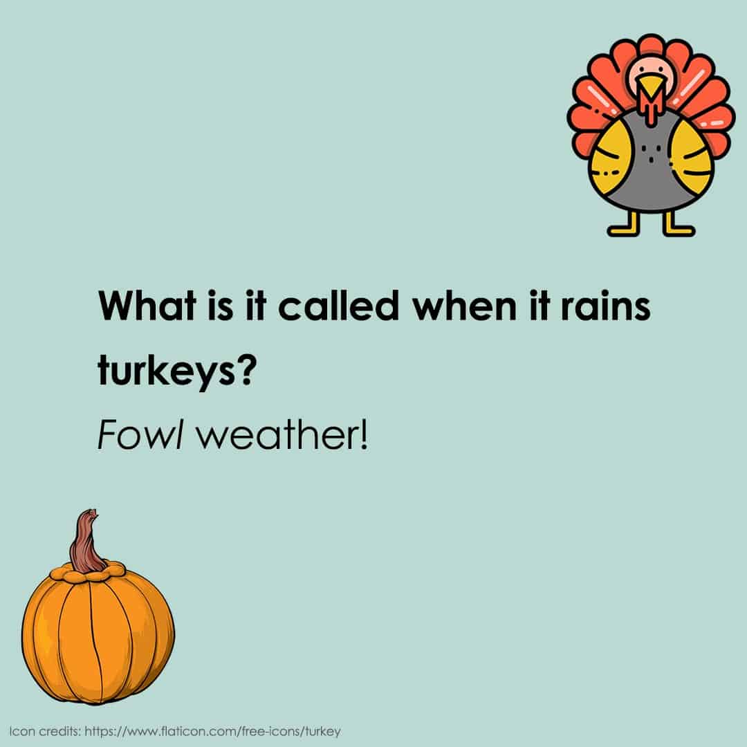 thanksgiving jokes 22 thanksgiving jokes