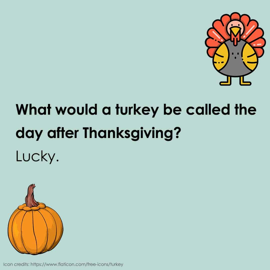 thanksgiving jokes 24 thanksgiving jokes