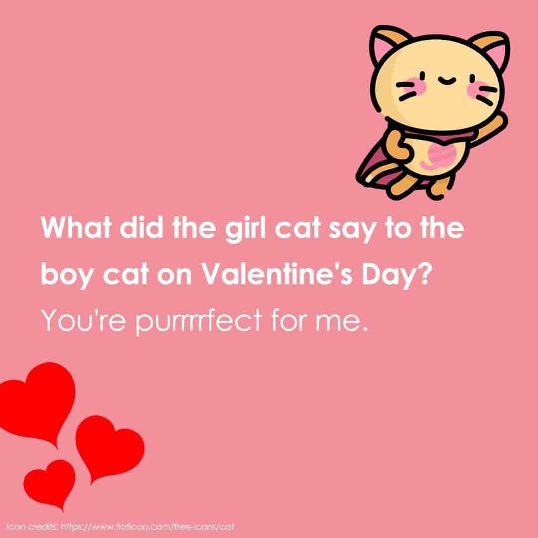 valentine's day jokes 13 valentine's day jokes for kids