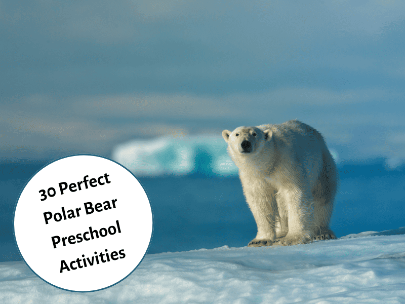 Super Fun Arctic Animal Activities for Kids - Autistic Mama