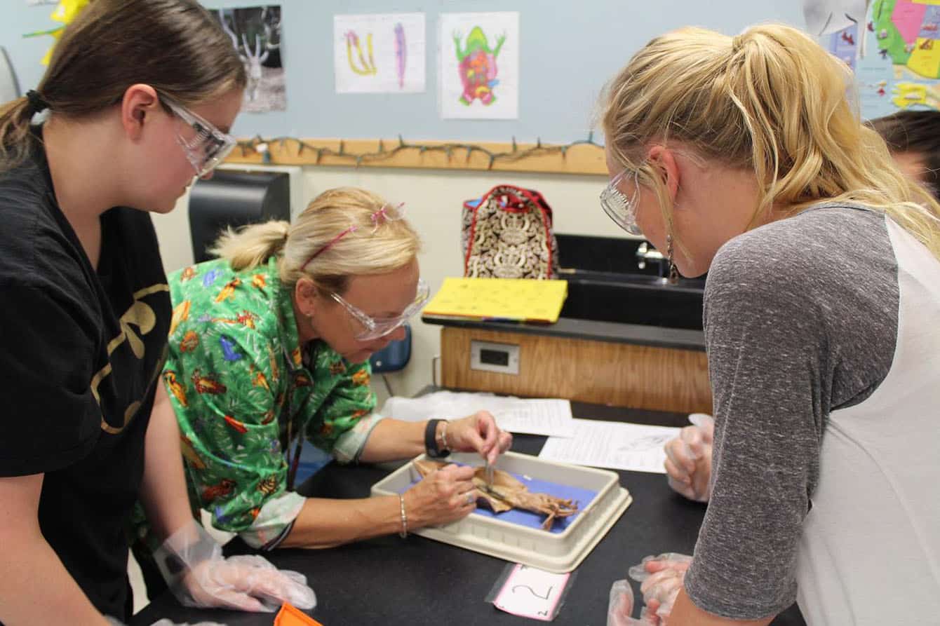 lab safety activities for middle school