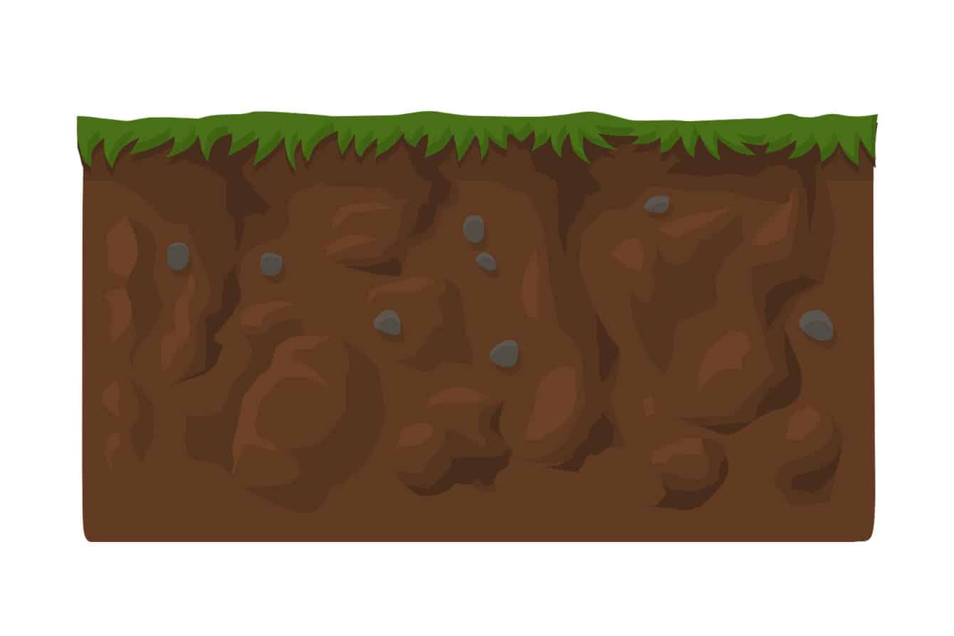 30 Plate Tectonics Activities for Middle School Teaching Expertise