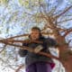 preschool tree activities