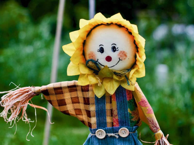 scarecrow preschool activities