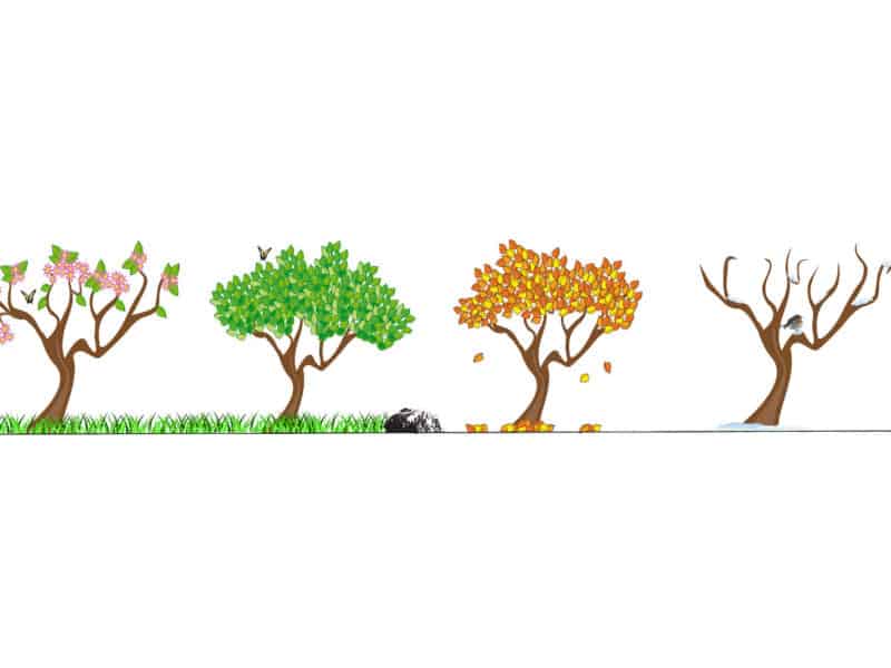 seasons activities for preschool