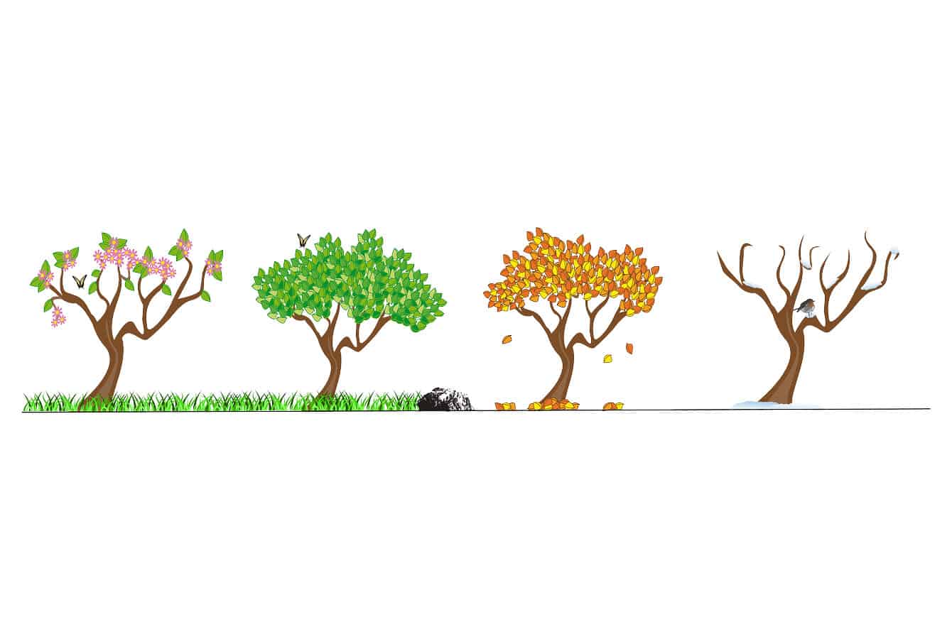 seasons activities for preschool