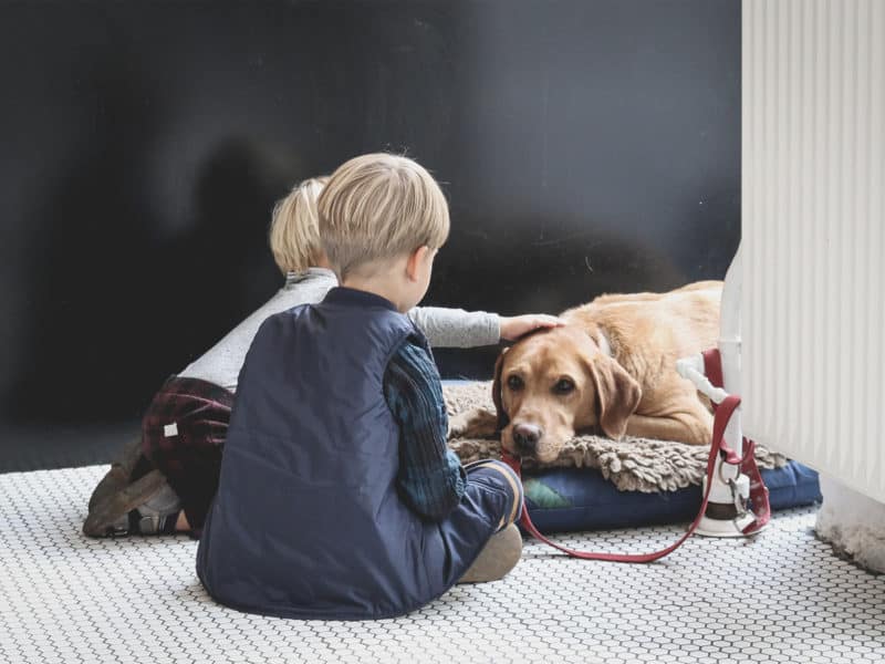 books about pets dying