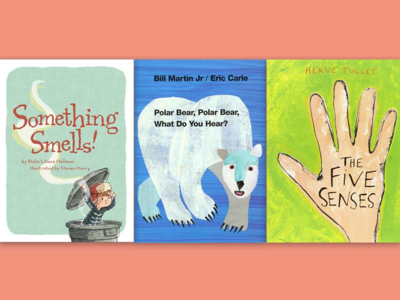 five senses activities for middle school
