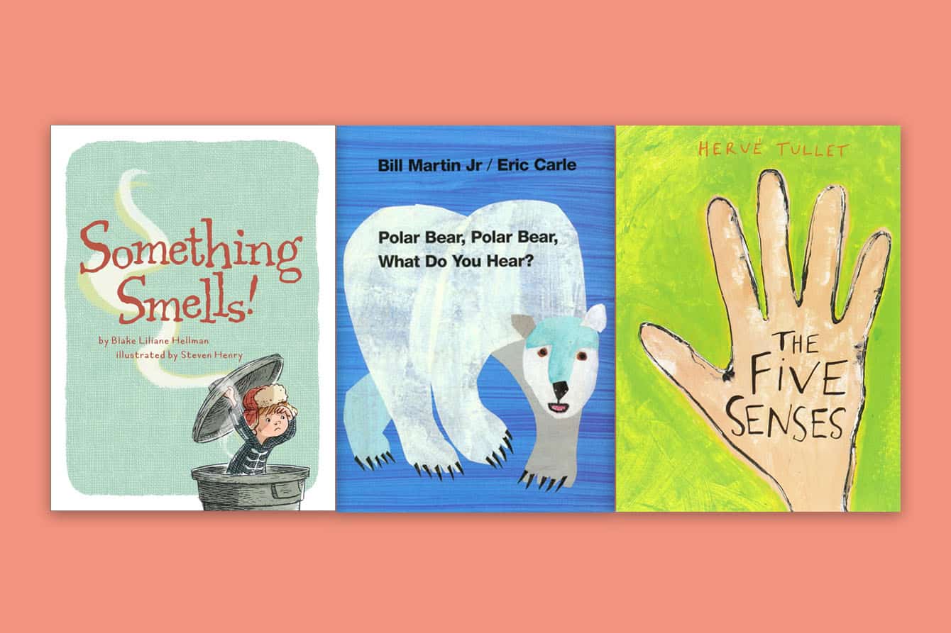 32 Delightful Five Senses Books for Kids - Teaching Expertise