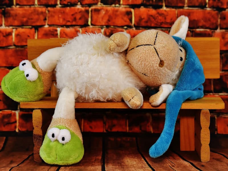 23 Creative Games with Stuffed Animals - Teaching Expertise