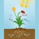 photosynthesis activities for middle school