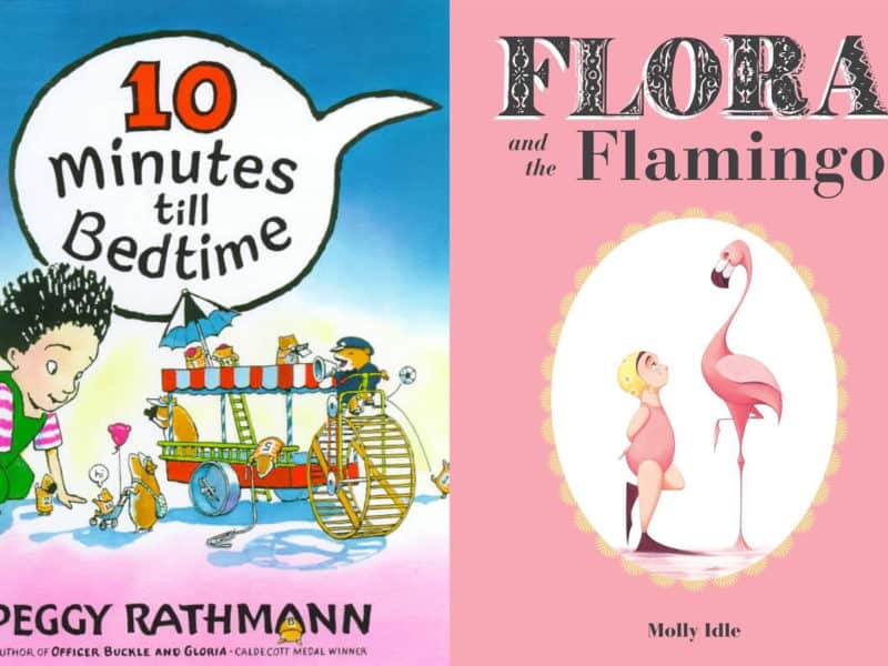 wordless picture books