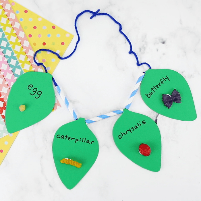 butterfly-life-cycle-necklace-craft.png