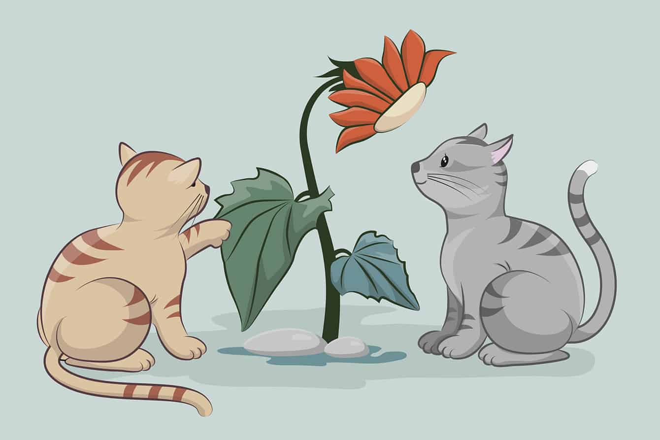30 Cute and Cuddly Children's Books About Cats - Teaching Expertise