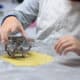 cooking activities for toddlers