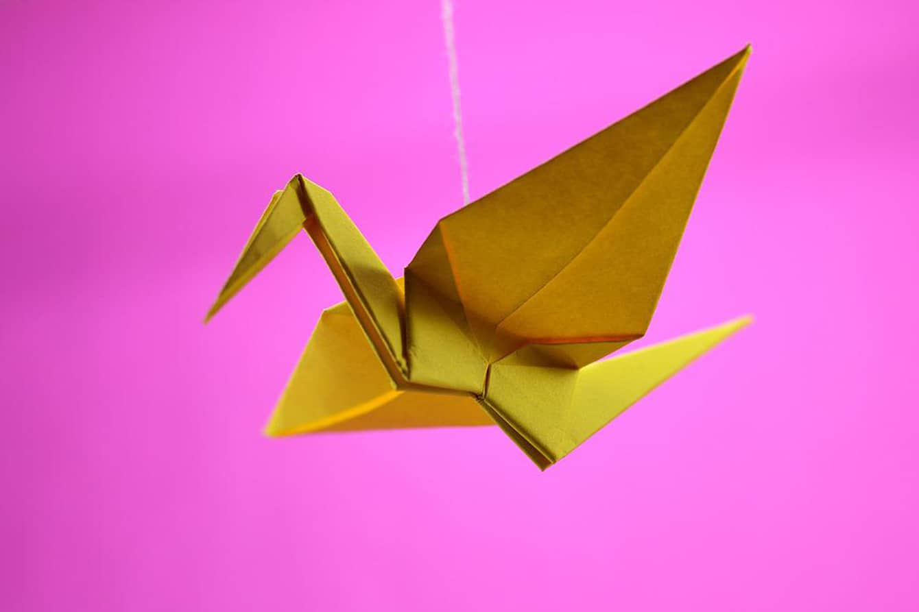 20 Fun and Creative Origami Books - Teaching Expertise