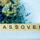 passover books for toddlers