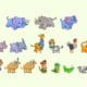 middle school animal activities