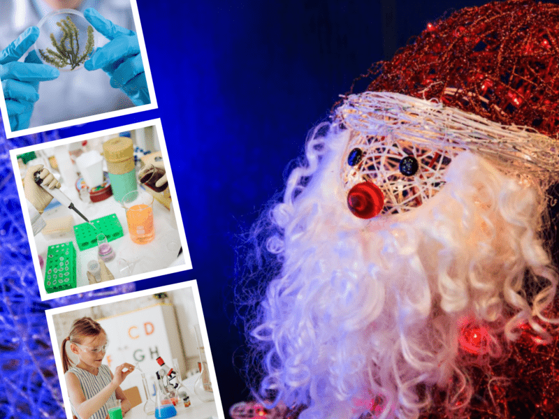 christmas science activities for middle school