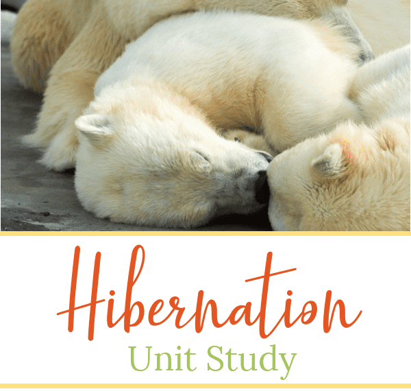 Hibernation-Unit-Study-By-Selena