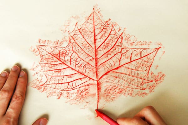 leafrubbings-step5 leafrubbings-step5