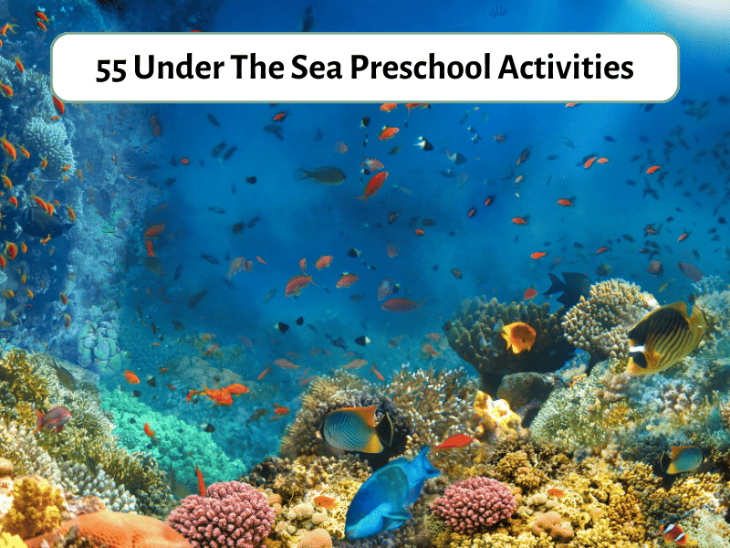 Under - Teaching Sea Expertise Preschool Activities The 55