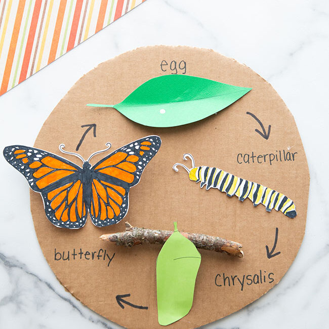 Butterfly-Life-Cycle-Craft-for-Kids.jpg