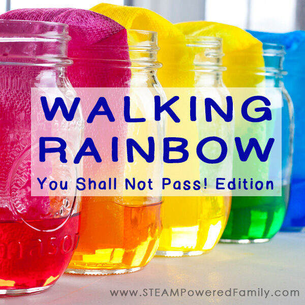 Walking-Rainbow-Science-Experiment-SQUARErev.jpg